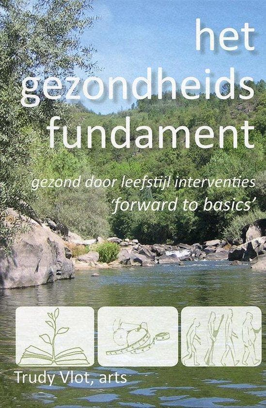 Het gezondheidsfundament 9789082628807 Trudy Vlot, Boeken, Gezondheid, Dieet en Voeding, Zo goed als nieuw, Verzenden