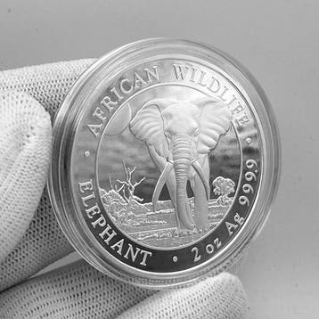 Somalië. 200 Schilling 2025 – 2 oz African Wildlife: