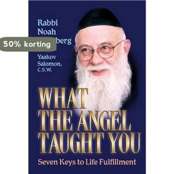 What the Angel Taught You - Noah Weinberg 9781578191345, Verzenden, Gelezen, Noah Weinberg