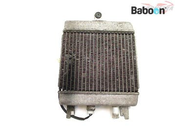 Radiateur Suzuki UH 125 Burgman (UH125), Verzenden, Gebruikt