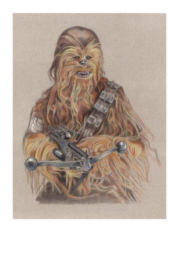 Miguel Ángel Alfaro Rey - Chewbacca, Verzamelen, Nieuw
