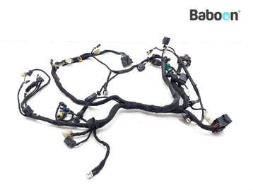Kabelboom Ducati Monster 1100 S 2009-2011 (51015911B), Motoren, Verzenden, Gebruikt