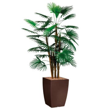 Rhapis Palm kunstplant, H150cm, Huis en Inrichting, Ophalen of Verzenden, Palm, 150 tot 200 cm