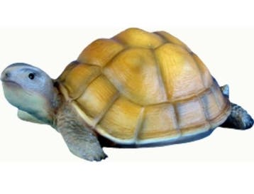 Schildpad, Tuin en Terras, Verzenden, Nieuw