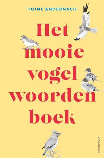 Het Mooie Vogelwoorden Boek | Toine Andernach | Nieuw, Ophalen of Verzenden, Nieuw, Toine Andernach