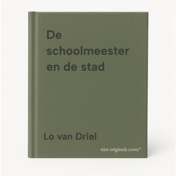 De schoolmeester en de stad - Lo van Driel 9789491528057, Verzenden, Gelezen, Lo van Driel
