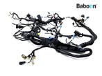 Kabelboom Ducati Diavel X 2016-2018 (XDiavel 1260), Verzenden, Gebruikt