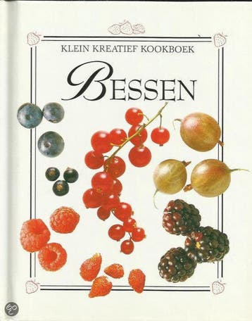 KLEIN KREATIEF KOOKBOEK-BESSEN - DONOVAN 9789065905109, Verzenden, Gelezen, DONOVAN