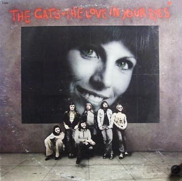 The Cats - The Love In Your Eyes, Ophalen of Verzenden, Gebruikt