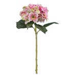 Hortensia Roze/Crème Zijdenbloem 51 cm per stuk, Ophalen of Verzenden, Nieuw