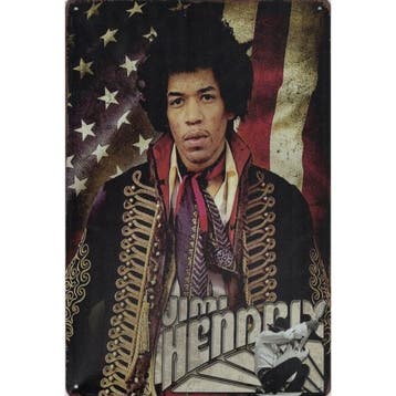Wandbord Concert Bord - Jimi Hendrix In Person, Ophalen of Verzenden, Nieuw, Poster, Artwork of Schilderij