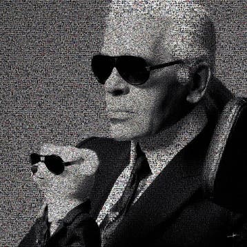 David Law - Crypto Karl Lagerfeld VI