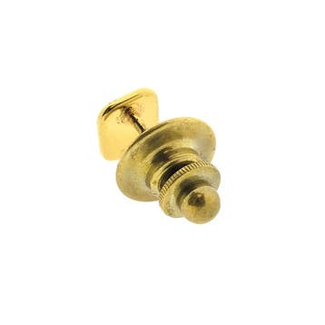 Gouden jubileum speld Albert Heijn (Broche), Ophalen of Verzenden, Gebruikt, Goud, Goud