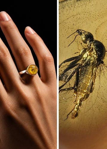 Baltische barnsteen ring met hoge helderheid – Prachtig