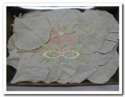 Cobra blad gebleekt doos ca. 100 stuks, Huis en Inrichting, Woonaccessoires | Kunstplanten en Kunstbloemen, Nieuw, Ophalen of Verzenden