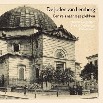 De joden van Lemberg - Michiel Driebergen 9789462030176, Boeken, Verzenden, Zo goed als nieuw, Michiel Driebergen