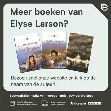 De meteoroloog en de storm - Elyse Larson 9789035121461, Boeken, Verzenden, Gelezen, Elyse Larson