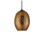 LED Hanglamp 3D - Quanta - Ovaal - Koper Glas - E27, Ophalen of Verzenden, Nieuw, Glas