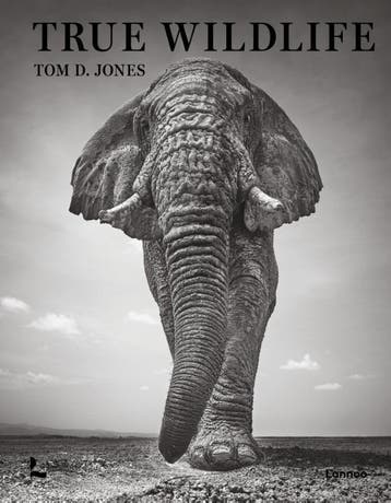 True Wildlife | Tom D. Jones | Nieuw, Ophalen of Verzenden, Nieuw, Tom D. Jones