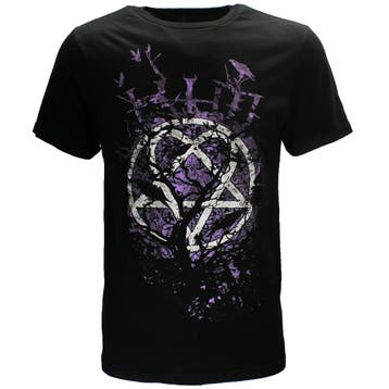 HIM Crows Official Band T-Shirt, Kleding | Heren, T-shirts, Verzenden, Nieuw