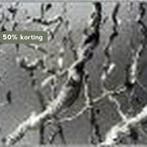 Now that part of me has become fiction 9789075380880, Verzenden, Zo goed als nieuw, S. Oldewolbers