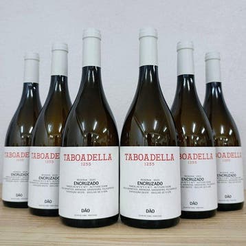 2025 Taboadella, Encruzado - Dão DOC, Reserva - 6 Flessen, Nieuw