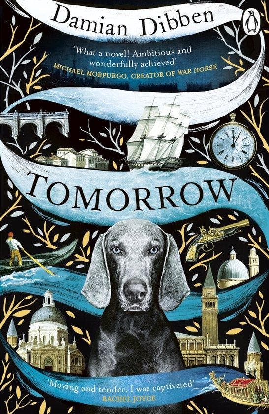 Tomorrow 9781405925785 Damian Dibben, Boeken, Taal | Engels, Gelezen, Verzenden