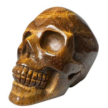 Premium tijgeroog-schedel Gravure - Hoogte: 50 mm - Breedte: