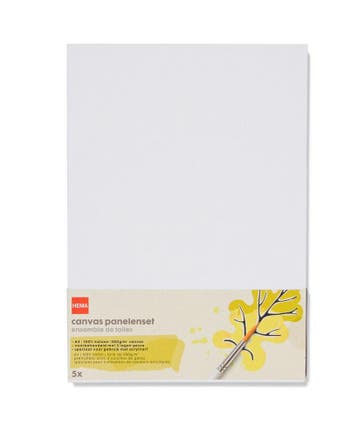HEMA Canvas panelenset A4 - 5 stuks, Hobby en Vrije tijd, Verzenden, Nieuw