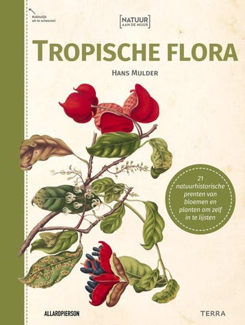 Natuur aan de muur - Tropische Flora (Goed), Verzenden, Gelezen, Hans Mulder
