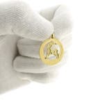 Gouden sterrenbeeld hanger; Steenbok (Hanger of bedel), Ophalen of Verzenden, Gebruikt, Goud, Overige merken