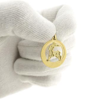 Gouden sterrenbeeld hanger; Steenbok (Hanger of bedel), Sieraden, Tassen en Uiterlijk, Bedels, Ophalen of Verzenden, Gebruikt