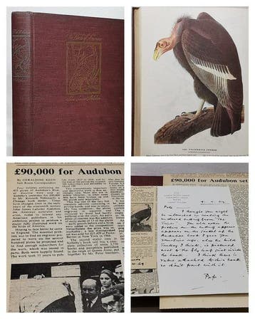 John James Audubon - The Birds Of America (435 Coloured, Antiek en Kunst