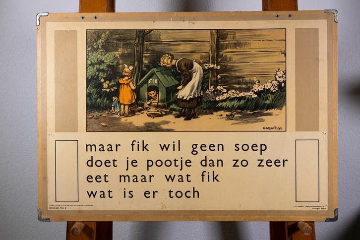 SCHOOLPLATENSHOP.NL een site met oude schoolplaten en ......, Antiek en Kunst, Antiek | Schoolplaten, Natuur en Biologie, Verzenden