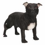 Beeldje Staff Bull Terrier zwart 15 cm - Beeldjes, Verzenden, Nieuw
