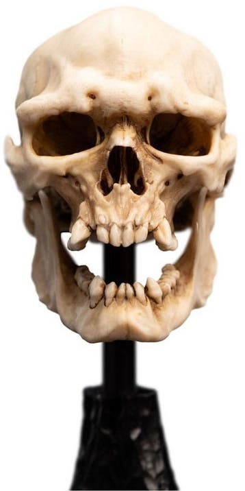 Weta Workshop Lord of the Rings Skull of a Mordor Orc Mini S, Ophalen of Verzenden