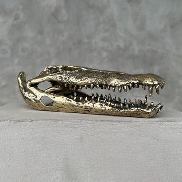 sculptuur, No Reserve Price - Polished Bronze Saltwater