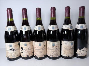 1993 Olivier Leflaive Rugiens - Pommard 1er Cru - 6, Nieuw
