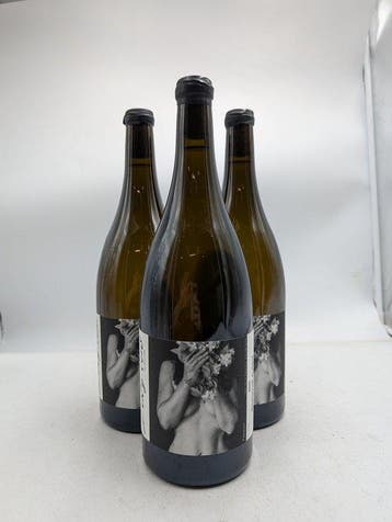 2025 Ledy Vins Vignes 1955 Bourgogne Aligoté - Bourgogne, Nieuw