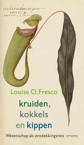 Kruiden, kokkels en kippen / Essay Maand van de Geschiedenis, Verzenden, Gelezen, Louise O. Fresco