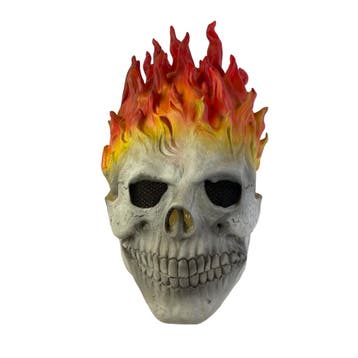 Ghost Rider masker, Verzenden, Nieuw