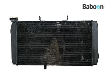 Radiateur Honda CBR 1100 XX Blackbird 1999-2006 (CBR1100XX, Verzenden, Gebruikt