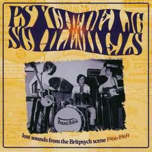 cd - Various - Psychedelic Schlemiels, Cd's en Dvd's, Cd's | Overige Cd's, Zo goed als nieuw, Verzenden