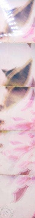Maurizio Galimberti (1956–) - Fragile Fiore Pink