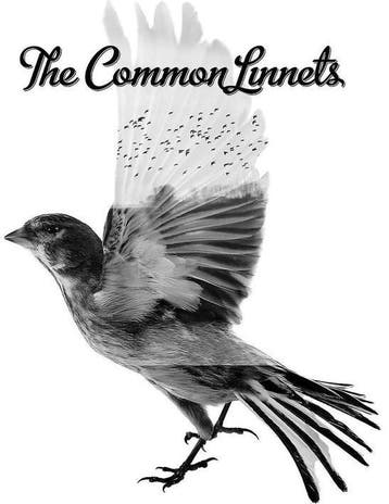 The Common Linnets - The Common Linnets (CD), Verzenden, Nieuw in verpakking