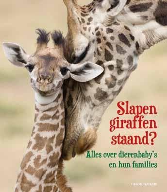 Slapen giraffen staand? - Anita van Saan 9789052109039, Verzenden, Zo goed als nieuw, Anita van Saan
