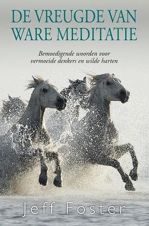 De Vreugde Van Ware Meditatie | Jeff Foster | Nieuw, Boeken, Ophalen of Verzenden, Nieuw, Jeff Foster