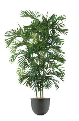 Areca Palm kunstplant, H140cm, Huis en Inrichting, Ophalen of Verzenden, Palm, 150 tot 200 cm