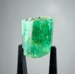1,80 ct smaragd uit Afghanistan, 8,00 mm × 6,00 mm, ruwe, Verzamelen, Mineralen en Fossielen