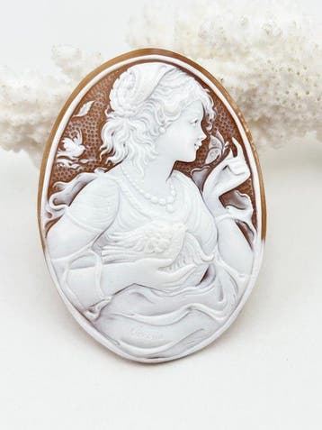 CASSIS MADAGASCARIENSIS - Cameo - Handgegraveerde camee